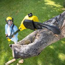 Best Lawn Drainage Solutions  in South Valley, NM