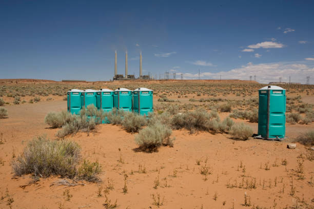 Best Hazardous Tree Removal  in South Valley, NM
