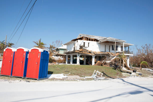 South Valley, NM Tree Removal Company
